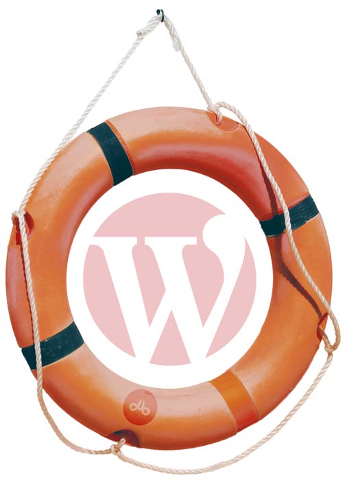 imagen ayuda con wordpress